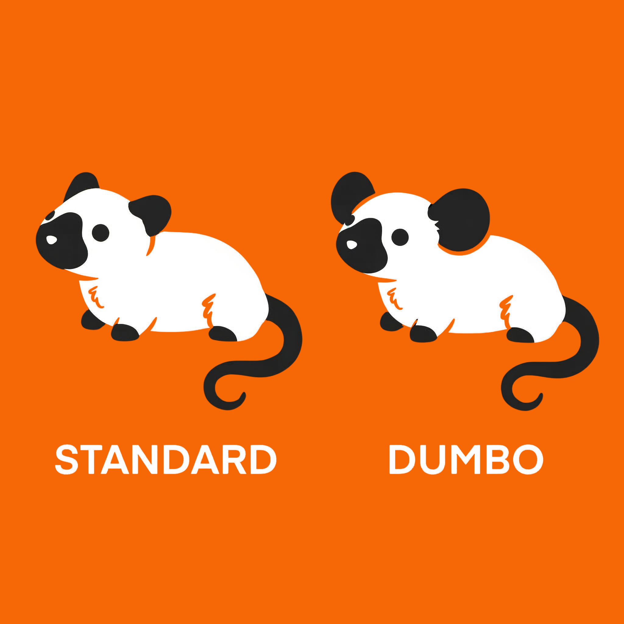 Ratos Dumbo lado a lado exibindo as orelhas laterais